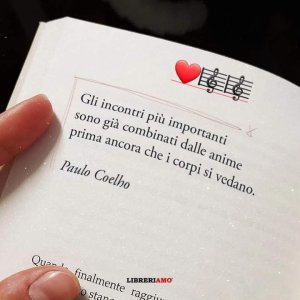 FB_IMG_1691998608254.jpg