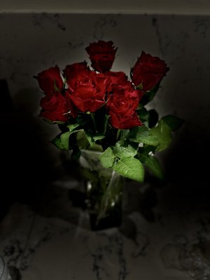 IMG_3119.jpeg