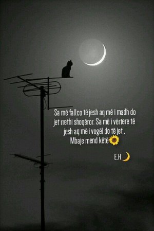61eb10ec3c255194a387c589e2955be3.jpg
