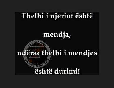 e909e5043b878c113bf63bf1cf757735.jpg