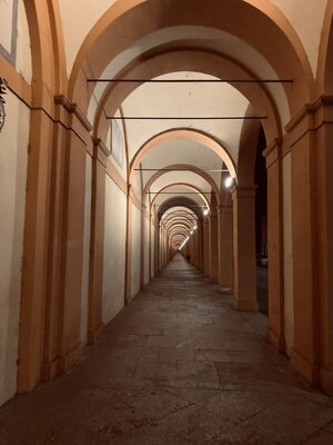 IMG_9250.jpeg