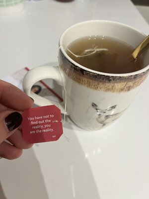 IMG_1618.jpeg IMG_1618.jpeg