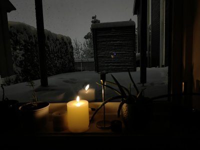 IMG_225632.jpg