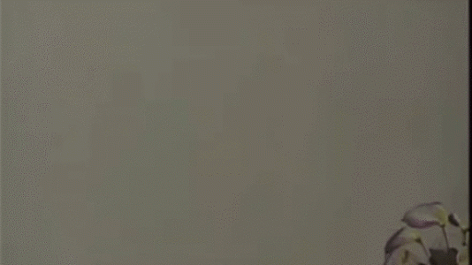 a0f90920-7478-4570-b522-a67d9b2edc72.gif