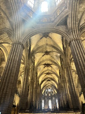 IMG_7482.jpeg