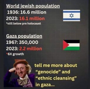 441512153_122162050784056568_3123940832991343691_n.jpg 441512153_122162050784056568_3123940832991343691_n.jpg