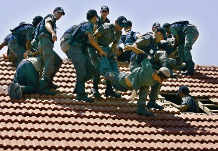 433555265_7283166598440264_7487821012396755106_n.jpg 433555265_7283166598440264_7487821012396755106_n.jpg