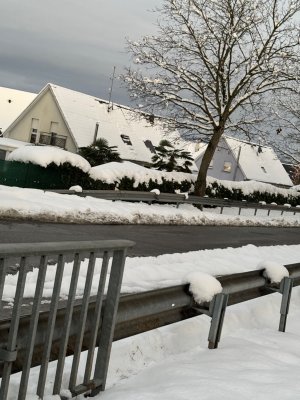 IMG_5479.jpeg