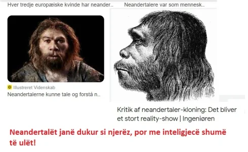 Arifi neandertali 1.webp