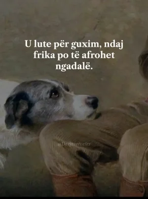 Screenshot_20250507_122056_TikTok.webp