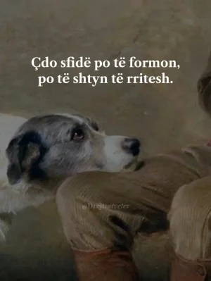Screenshot_20250507_122222_TikTok.webp