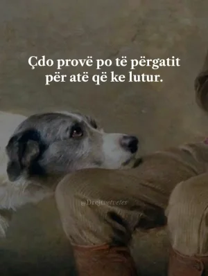 Screenshot_20250507_122235_TikTok.webp