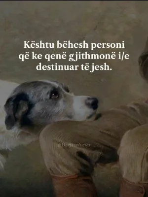 Screenshot_20250507_122253_TikTok.webp