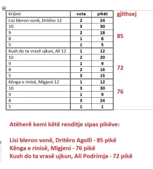 si duket rezultati i votimit me pikë.webp si duket rezultati i votimit me pikë.webp