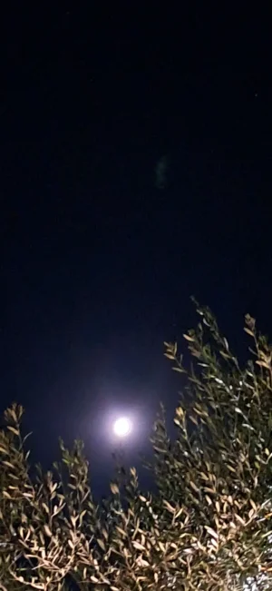 20250709_003305.webp