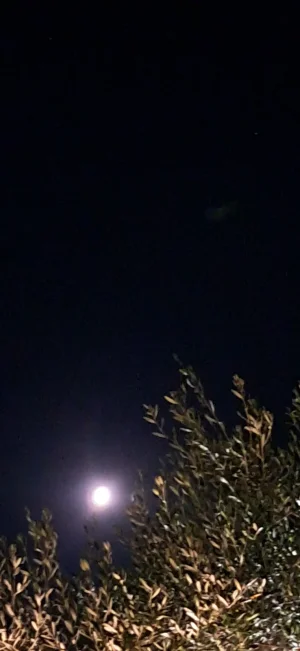 20250709_003301.webp