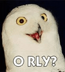 10E50B2C-F5CB-47C5-9A21-B528A7B4EF39.gif