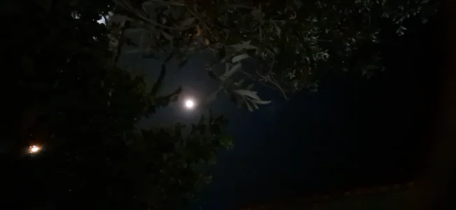 20250809_003848.webp