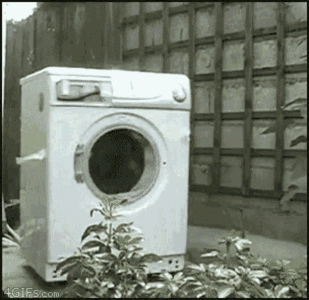 5682.gif