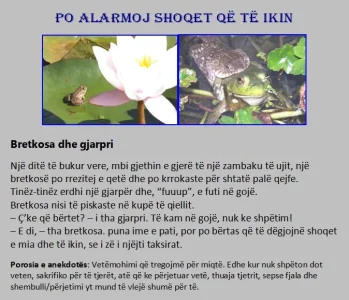 bretkosa dhe gjarpri -për postim.webp