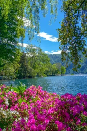 1000046827.webp
