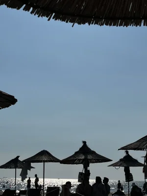 IMG_6521.webp