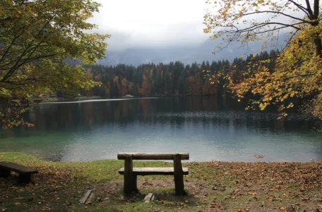 1000047052.webp 1000047052.webp