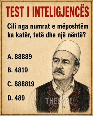 2. gjëzë logjike - test inteligjence.webp