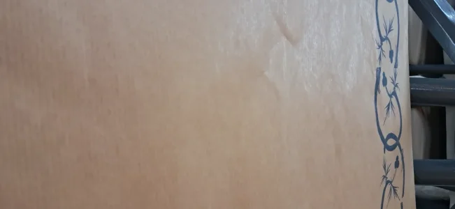 17883836769338335020708275332632.webp