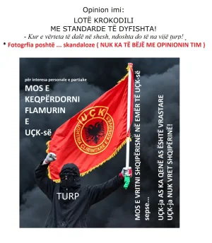 LOTË KROKODILI ME STANDARDE TË DYFISHTA.webp
