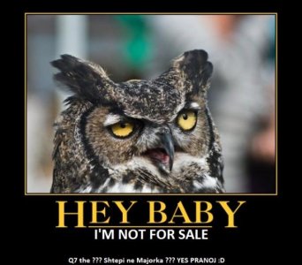 hey-baby-flirty-owl-crankyhead-demotivational-poster-1286738911.jpg