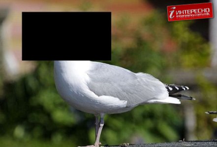 tn1.jpg