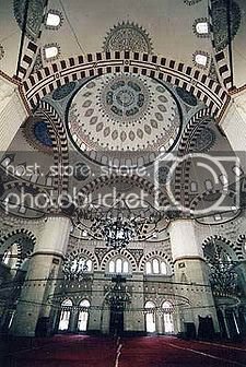225PX-1.jpg