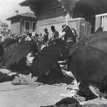 tirane-150x150.jpg tirane-150x150.jpg