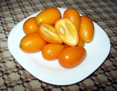 kumquat.jpg kumquat.jpg