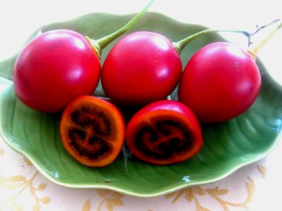 tamarillo31.jpg tamarillo31.jpg