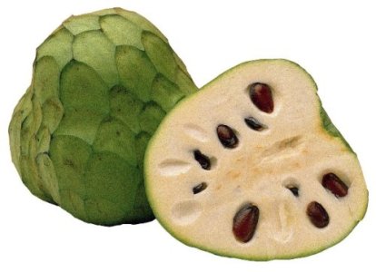 cherimoya2.jpg cherimoya2.jpg