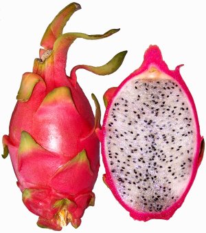Hylocereus_undatus_red_pitahaya.jpg Hylocereus_undatus_red_pitahaya.jpg
