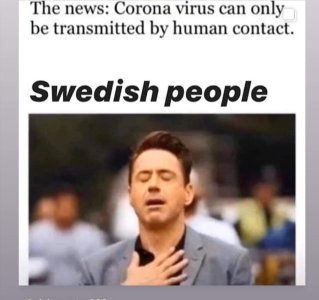 received_514053826203316.jpeg