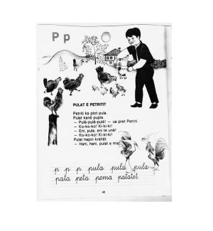 Petrit-Halilaj-Pulat-e-Petritit_archive.jpg