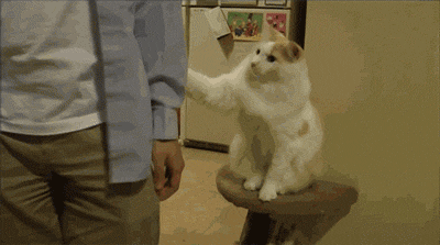 pet me.gif