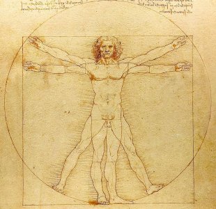 Uomo-Vitruviano-Leonardo-da-Vinci-analisi.jpg