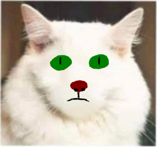 Udklip Kat.PNG