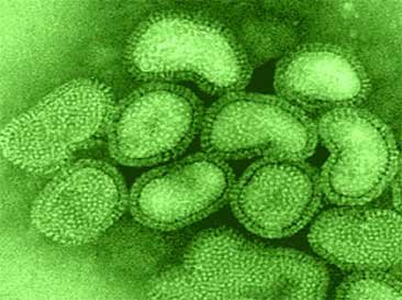 New-Deadly-Flu-Virus.jpg