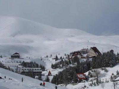 kodraediellit.jpg