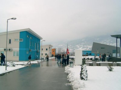 2201431.jpg