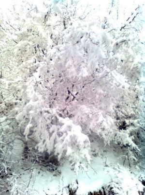 74.jpg