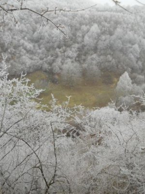 DSCN0238.jpg