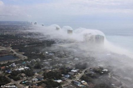 florida-2.jpg