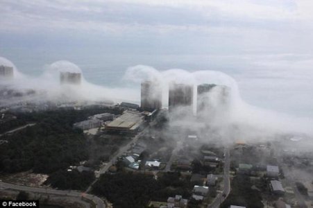 florida-3.jpg